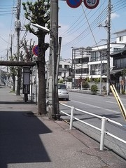 桜新築　バス停 